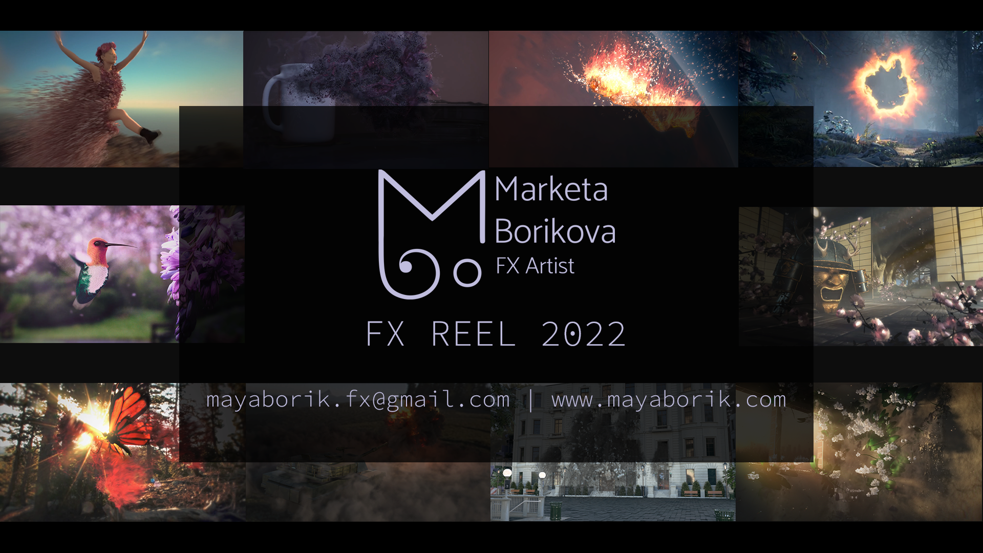 FX REEL